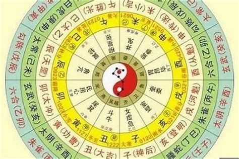 天干五合原理